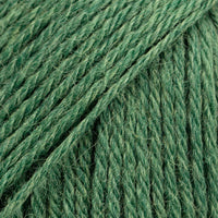 19 forest green uni colour