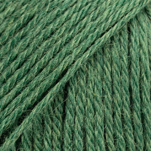 19 forest green uni colour