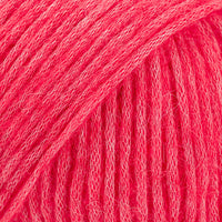 64 rasperry sorbet
